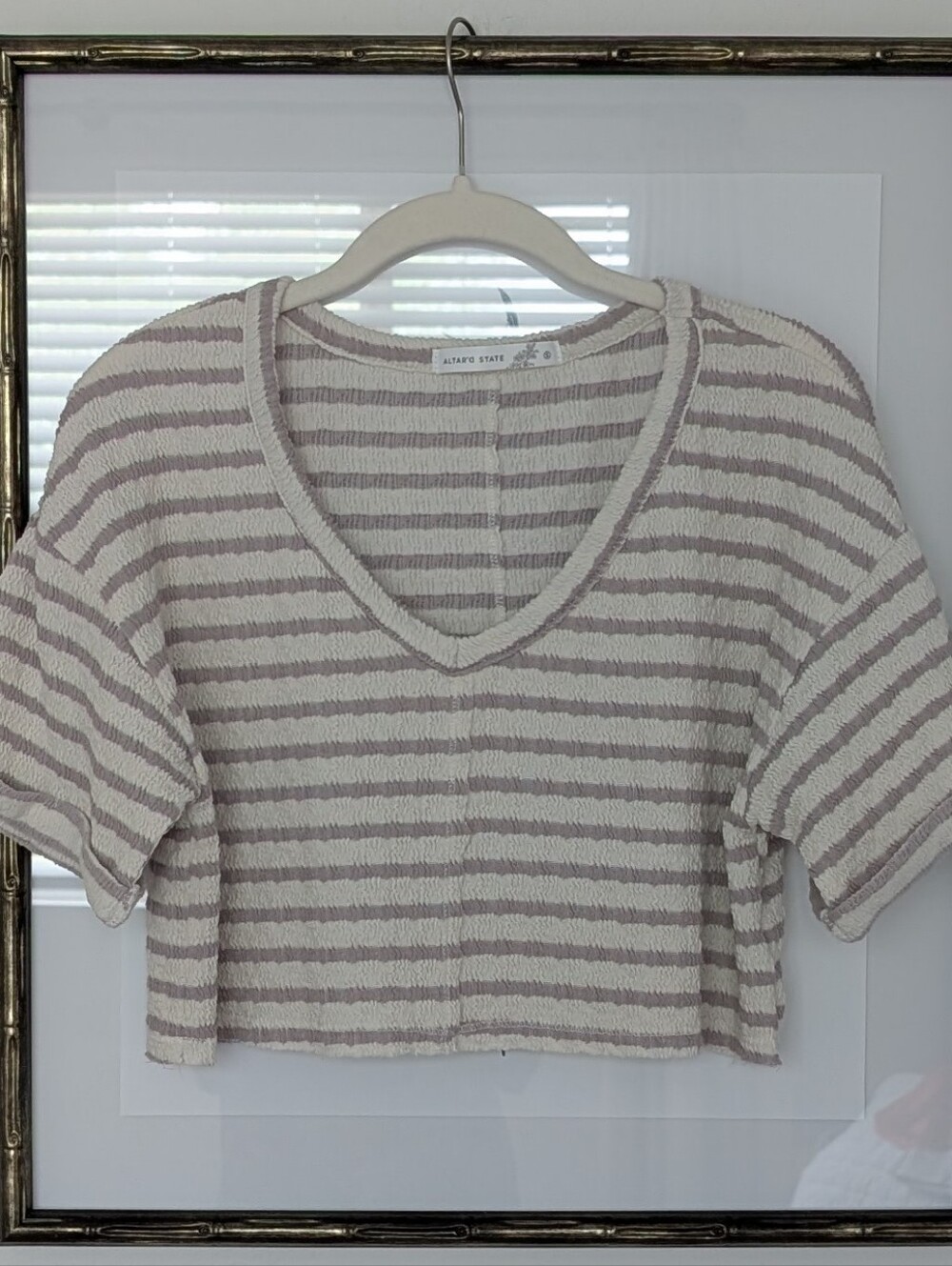 Altar'd State Striped V-Neck Cropped Top - Cream & Taupe SZ S